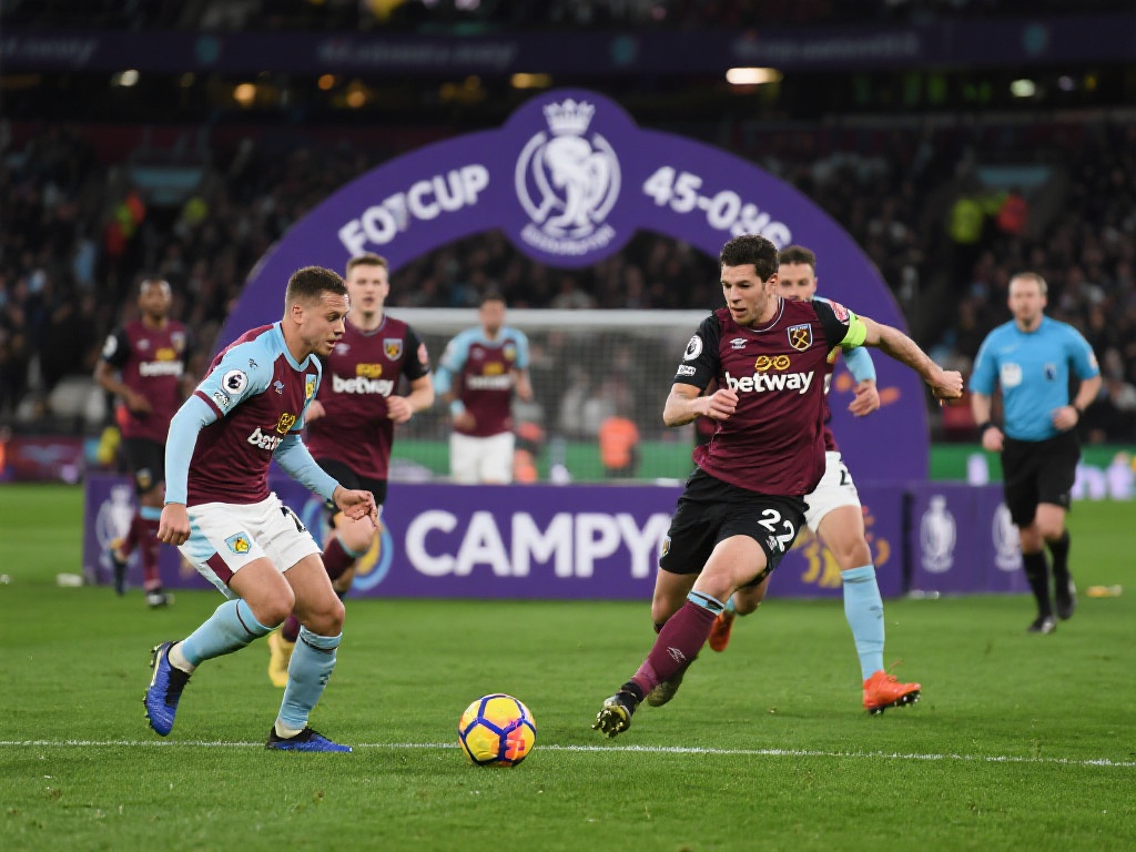 的成功并非 的成功并非